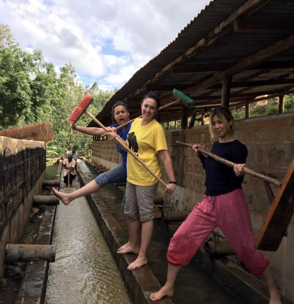 Group photo of participants cleaning coffee bean