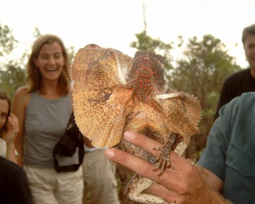 wildlife sanctuary zoo