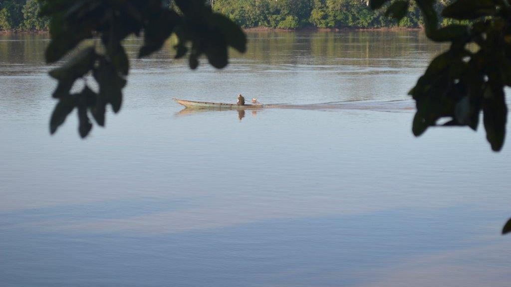 jungle conservation peru