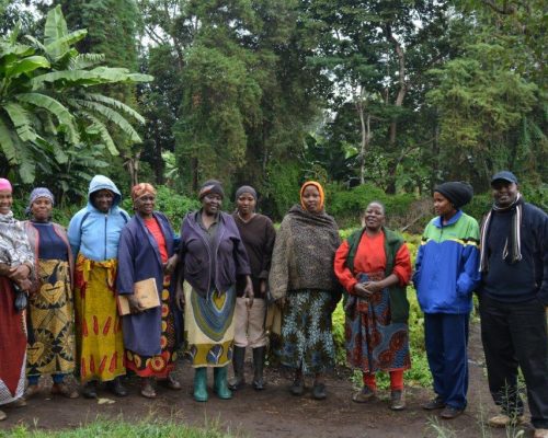 Tanzanian farmers lined up for photo