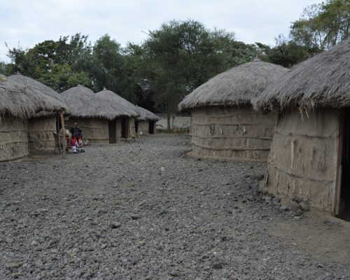 Maasai museum