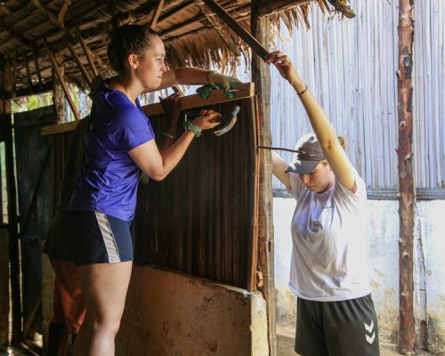 teamwork on renovation site