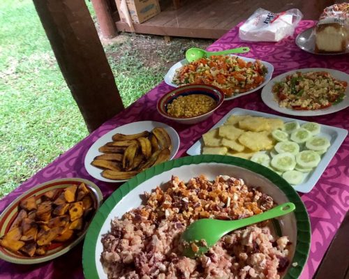 Meals provided to Volunteers in Vanuatu