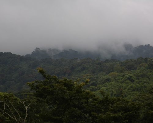 green Mountains