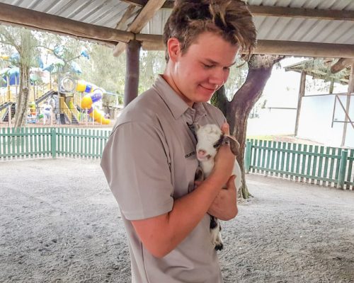 holding a baby goat