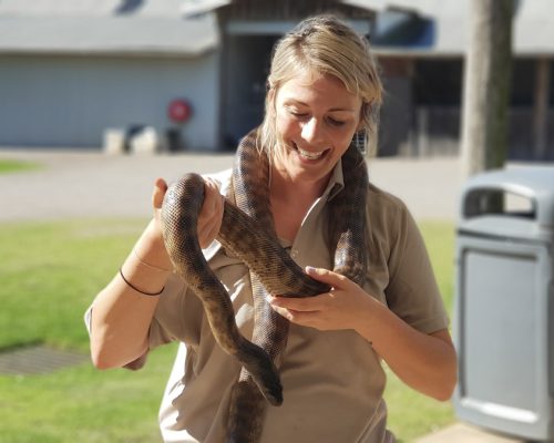 holding a snake