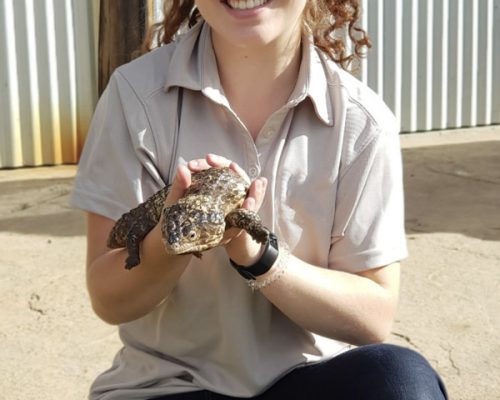 Newcastle wildlife volunteering