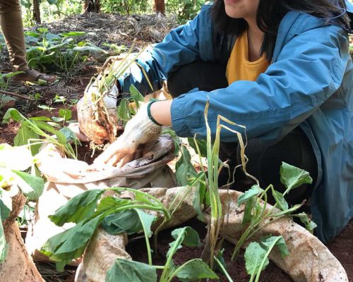 Participant attending a vegetable garden