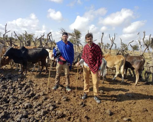 Participant milking the cows in Moita Masai village