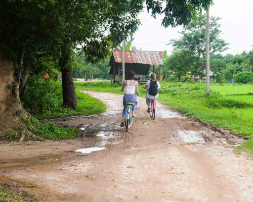 Participants riding a bike to school