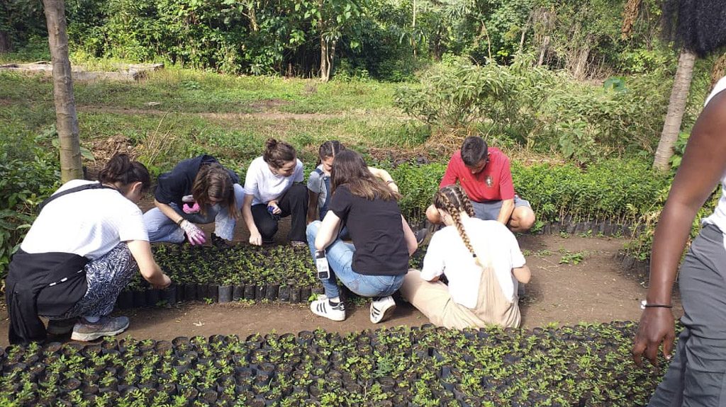 Planting