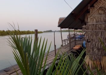 mangrove conservation cambodia