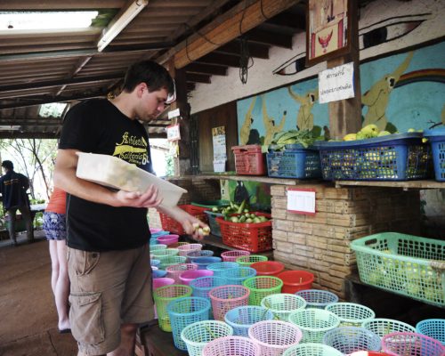 Sorting out the food