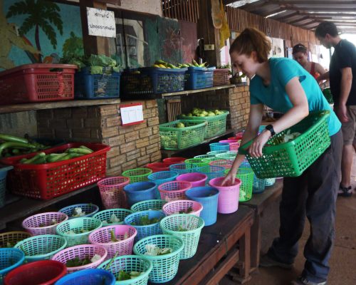 Sorting out the food mae sot placement