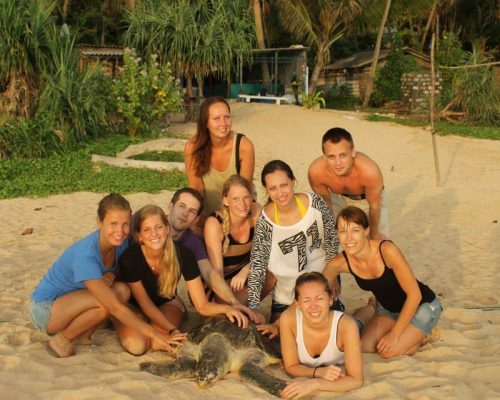 Srilanka turtle conservation (8)