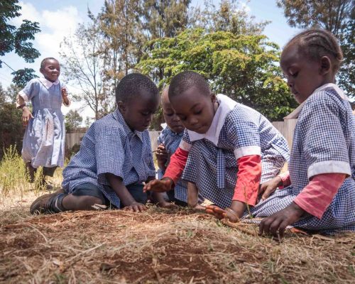 Students playing in the ground