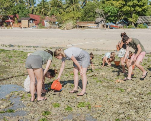 collecting crabs