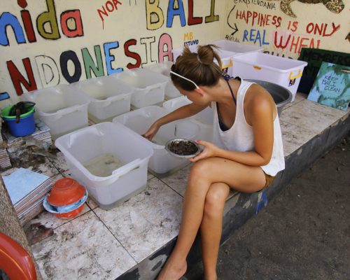 preparing food