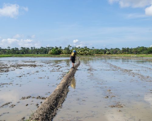 _Walking on a muddy field