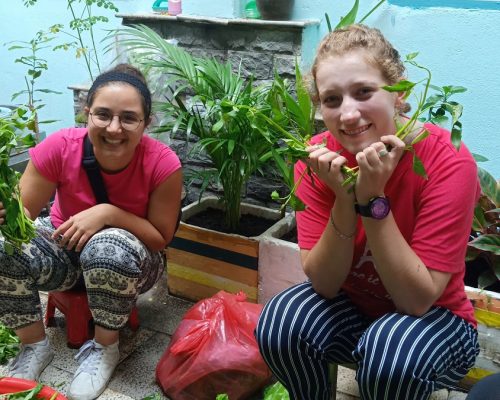 Washing Vegetable (1)