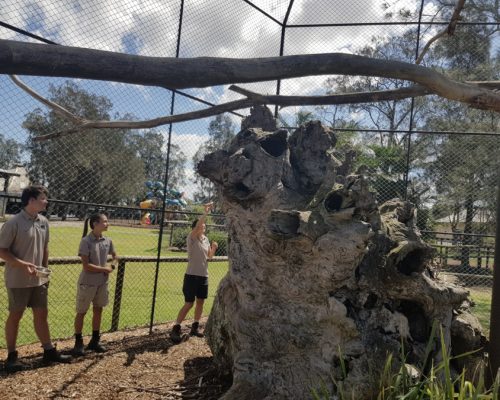 cleaning animal enclosures