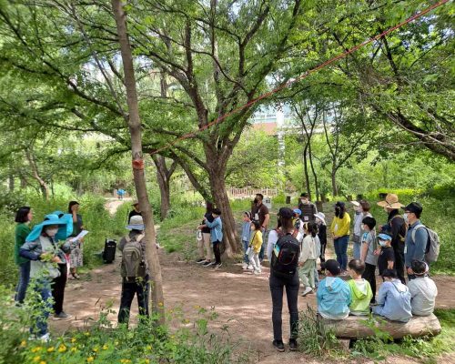 cleaning the park in seoul