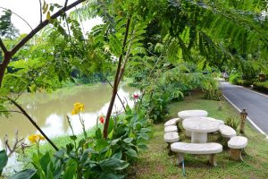 outlook to the garden in Singburi Thailand