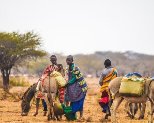 local Maasai men on farmland, Tanzania