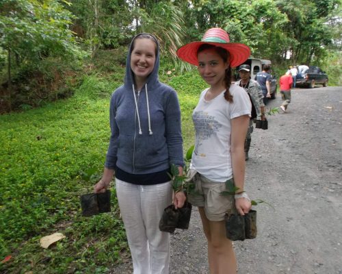 planting trees