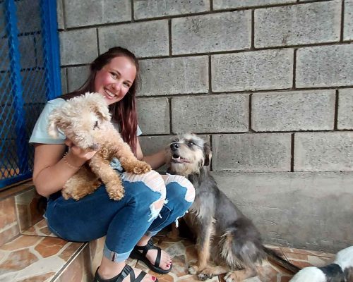 dog shelter costa rica