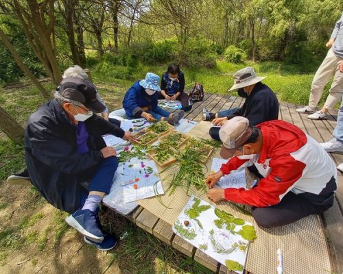 eco park volunteers