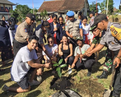 planting a tree