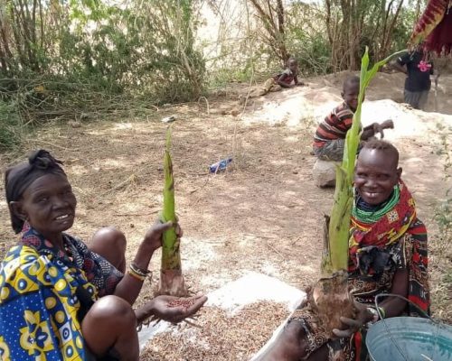 environmental program kakuma