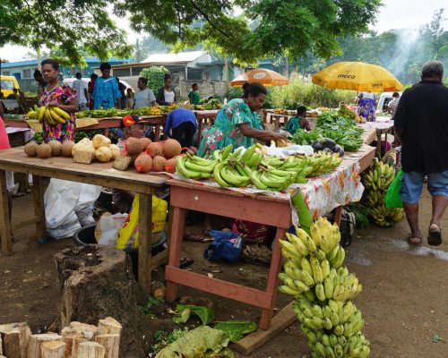 fruit vendors visiting on the introduction week