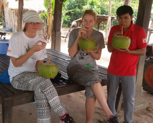 drinking fresh coconuts with friends