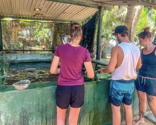 group at turtle centre in Amablangoda