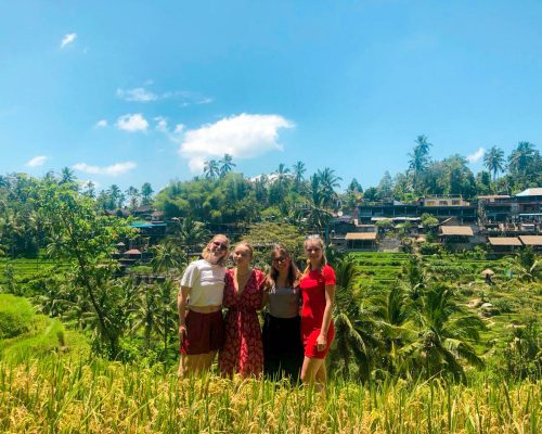 group in Bali rice fields