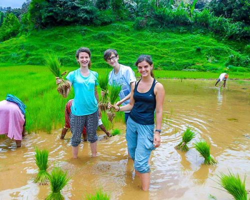 in the river goa