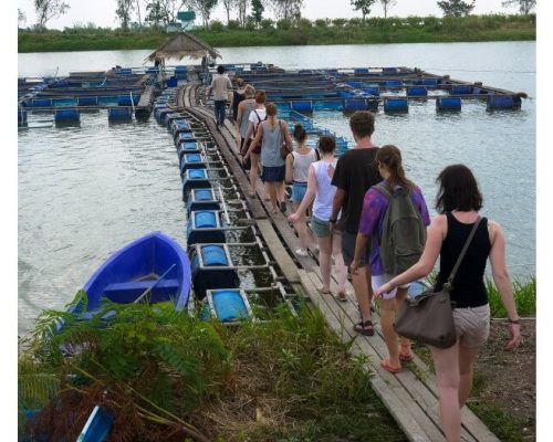 guided tour for volunteer cultural orientation week thailand