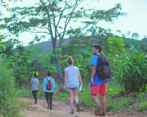 jungle treking thailand