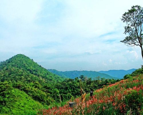 amazing scenic shots in thailand