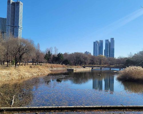 lake in seoul, korea