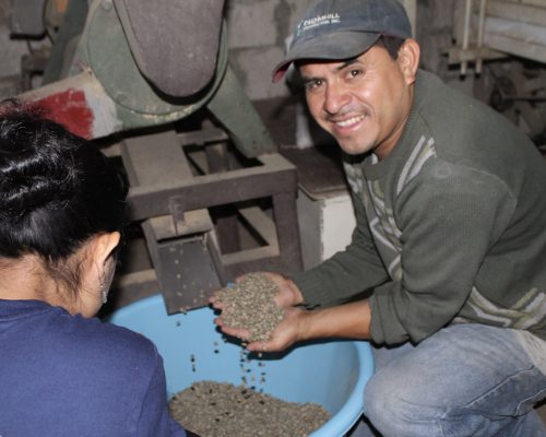 making coffee beans