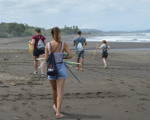 marking the beach