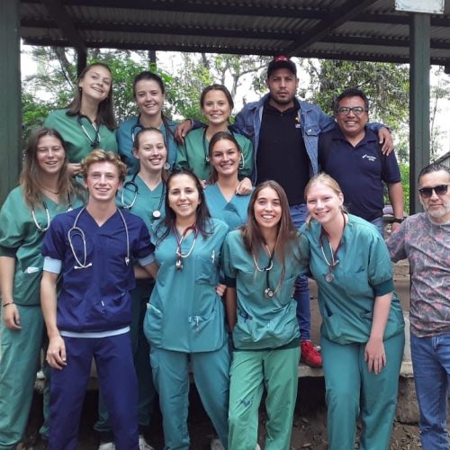 medical participants in scrubs