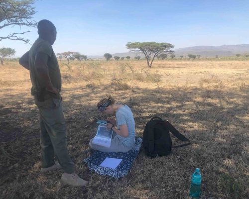 monitoring wildlife kenya