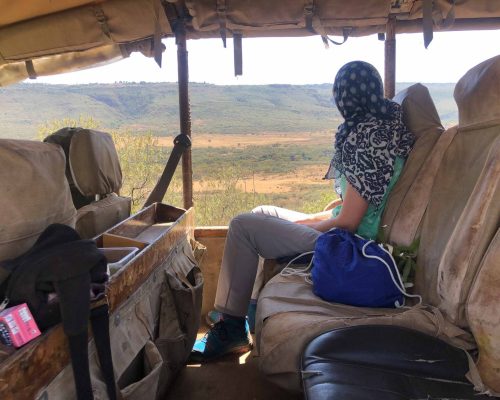 on the jeep