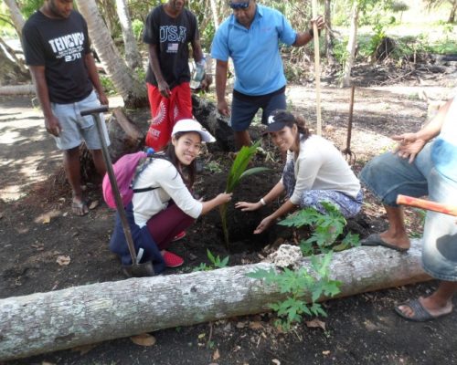 organic farming