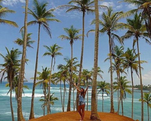 palm trees overlooking ocean from viewpoint