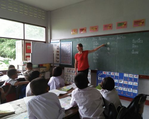 participant teaching the colours